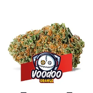 VOODOO ORANGE CBD