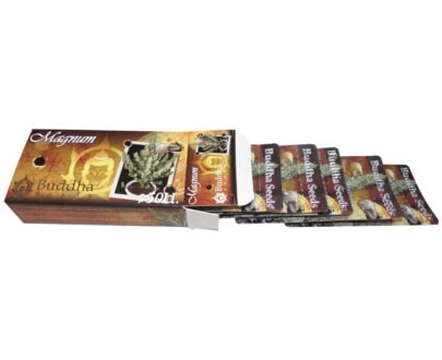 magnum auto seeds