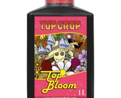 top-bloom-top crop