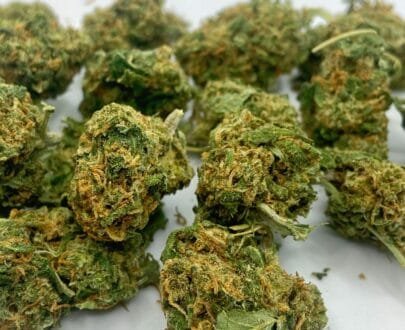 mini buds gelato