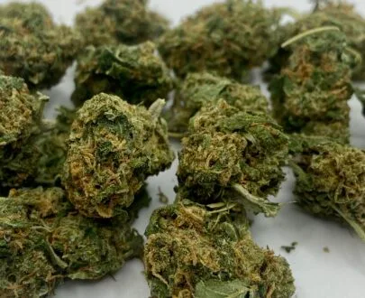 small buds gorilla glue