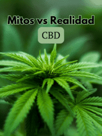 Mitos y realidades cbd